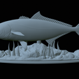 Greater-Amberjack-statue-1-45.png fish greater amberjack / Seriola dumerili statue underwater detailed texture for 3d printing