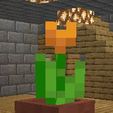 Screenshot_20240919-120246.jpg tulip minecraft