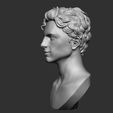 04.jpg Timothee Chalamet bust sculpture 3D print model