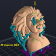 einstein3.png Busto Educativo Albert Einstein - 4 Colores AMS/STL | Ciencia STEM Icono Figurilla