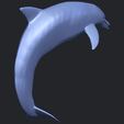 27_TDA0613_Dolphin_03B05.png Dolphin 03