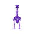 Dodo Layout.stl Dodo Skeleton (Accurate and High Detail)