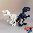5.jpg Velociraptor Skeleton Articulated/Flexi