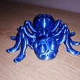 Niedliche Flexi Print-in-Place Spinne