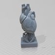 3469.jpg Eternal Beat: Hyper-Realistic Anatomical Human Heart