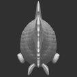 6.jpg Grass carp fish for 3D printing