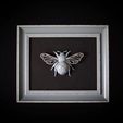 IMG_20230828_205932_428.jpg Bumble bee with plug in wings