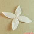 04b.jpg flowers: Ixora - 3D printable model
