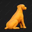 2741-Brittany_Pose_04.jpg Brittany Dog 3D Print Model Pose 04