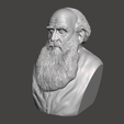 Leo-Tolstoy-2.png 3D модель Льва Толстого - высококачественный STL файл для 3D печати (ПЕРСОНАЛЬНОЕ ИСПОЛЬЗОВАНИЕ)