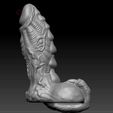 02.jpeg Omen Wild Dildo 3D Print Model