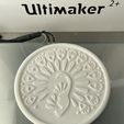 IMG_3933.jpg Free STL file Peacock drink coaster・3D print object to download