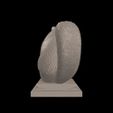 jpg_frame_04.jpg Ai - 0109 - Red Eyed Raccoon Stone Figure