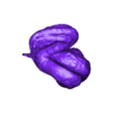Pumpkin_Halloween_Root_1.stl Citrouille maudite - Modèle imprimé en 3D pour Halloween