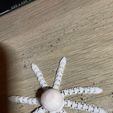IMG_6366.jpg articulated octopus