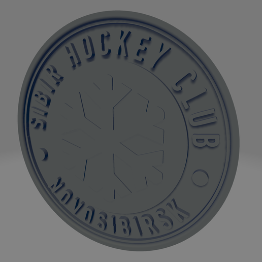 Sibir Novosibirsk coaster 3D model