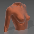 01.png STL file Bust 01・3D printer model to download