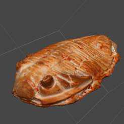 Screen_Shot_2020-03-04_at_12.34.47_pm.png Trilobite (Probably Devonian)