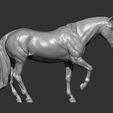 horse-3d-model-fa2036405b.jpg Horse 3D print model