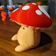 PXL_20231224_143232329.jpg Sad Fun-Guy - Palia Plushie