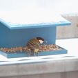 FL2_med-talgoxe.jpg Vogelfutterspender für das Balkongeländer.