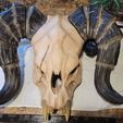 240981604_360686449037177_3321182303980656297_n.jpg Deathclaw Totenkopfmaske