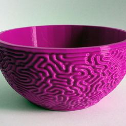 bb_thing.jpg Brain Bowl