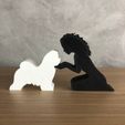 WhatsApp-Image-2023-01-06-at-19.47.10.jpeg Girl and her lhasa apso (wavy hair) for 3D printer or laser cut