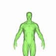 3.jpg full body muscles