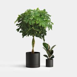 plantsomething-22-3.jpg 3D file Plant Something 22・3D printer design to download