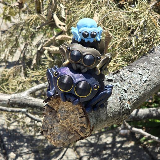 20240607_115216.jpg "Bitsy" the Flexi Jumping Spider