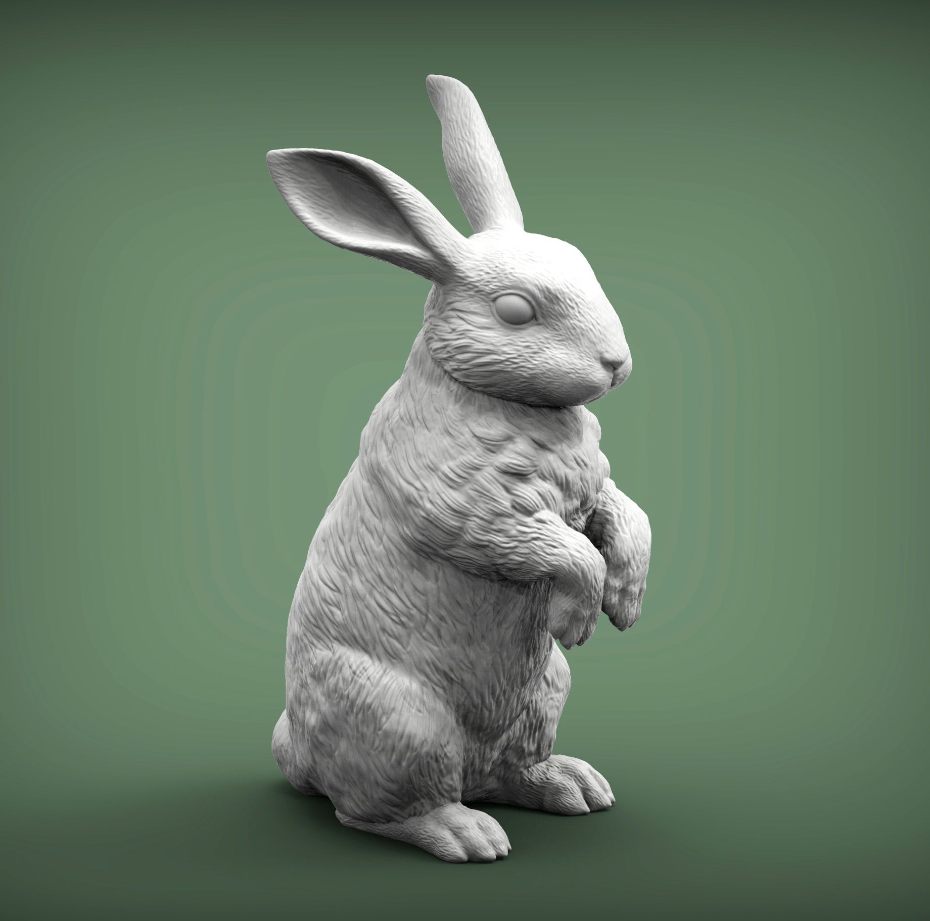 3D file Rabbit 3D print model・3D printer design to download・Cults