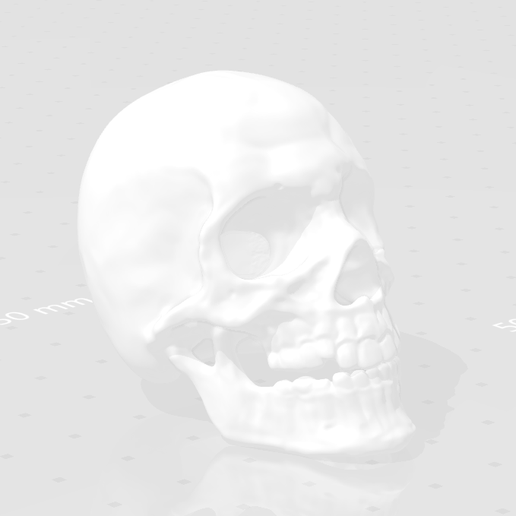 Calavera.PNG Calavera