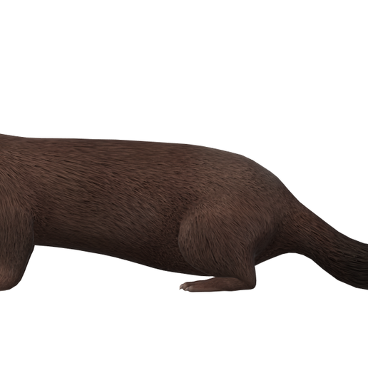 Download Free Stl File Real Mink • 3d Printable Design ・ Cults