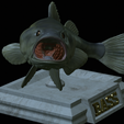 Bass-stocenej-11.png fish bass trophy statue detailed texture for 3d printing