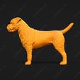 2210-Border_Terrier_Pose_01.jpg Border Terrier Dog 3D Print Model Pose 01