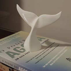 AirBrush_20230414234721.jpg Whale Tail  Decorative Home