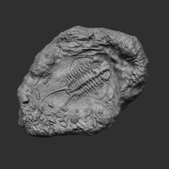 00main.png Trilobite Mineral Fossile - Realistic Printable and Keychain