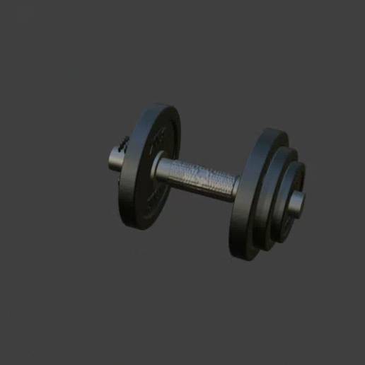 IMG_7291.png Símbolo del gimnasio