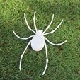 BigSpider.jpg Spider Web Decoration