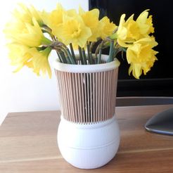 Vase.jpg Fichier 3D Vase with Wooden Neck・Objet pour impression 3D à télécharger