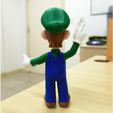 fac4ef5554f69012fe38d2f1d4e245a6_preview_featured.jpg Luigi from Mario games - Multi-color