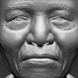nelson-mandela-bust-ready-for-full-color-3d-printing-3d-model-obj-mtl-fbx-stl-wrl-wrz (32).jpg Nelson Mandela bust 3D printing ready stl obj