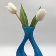 IMG_8520.JPG Special Vase