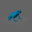Blue-Poison-Dart-Frog-01.png 🐸 Blue Poison Dart Frog / Grenouille Flèche Bleue