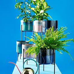 PP.png Plant Pot & Stand
