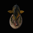 Peacock-Bass-statue-1-3-9.png FISH in motion Peacock bass (Cichla ocellaris) fish natural base detailed texture for 3d printing