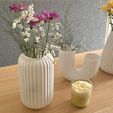 IMG_6575.jpg Fashion Ribbed Vase - Olivia