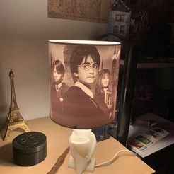 126164552_10214385581113087_1115246603601503229_n.jpg Бесплатный STL файл Lithophanie Harry Potter Ron and Hermione・3D-печатный объект для загрузки