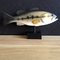 Largemouth-bass-stl-3d.jpg STL file Largemouth bass on (optional) pedestal・3D printer model to download